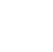Tirex LLC, of the United States, is the owner of the ZIGGURAT brand and its exclusive distributor worldwide.